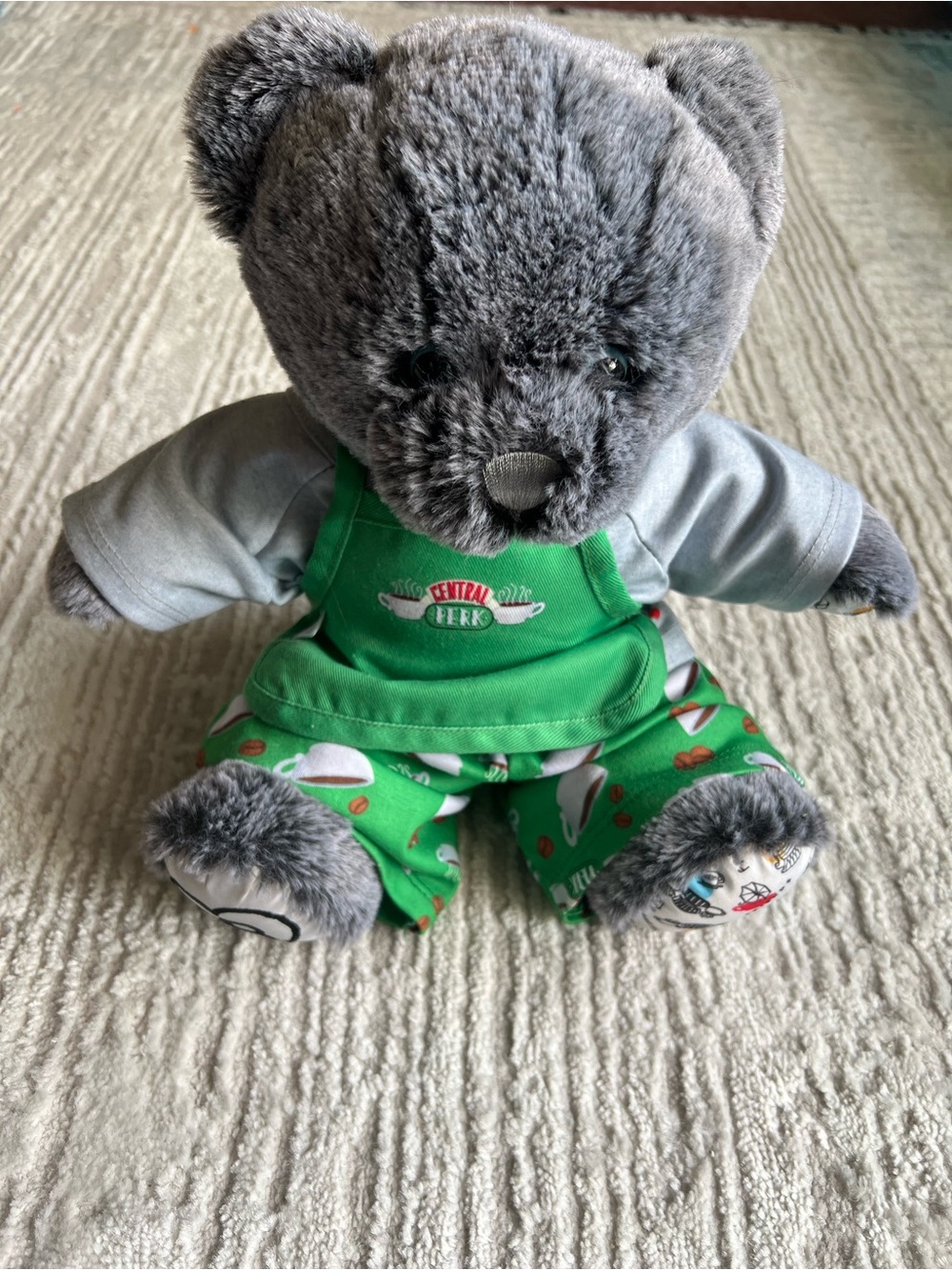 Friends TV Show Gray Plush Bear in Green Central Perk apron.